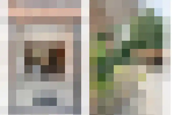 Meerkoetlaan 13 Ruinerwold thumbnail 17