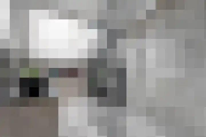 Meerkoetlaan 13 Ruinerwold thumbnail 30