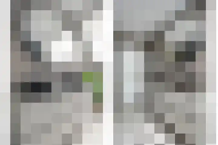 Meerkoetlaan 13 Ruinerwold thumbnail 32
