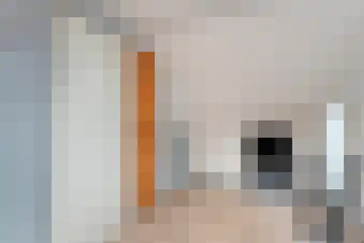 Meerkoetlaan 13 Ruinerwold thumbnail 34