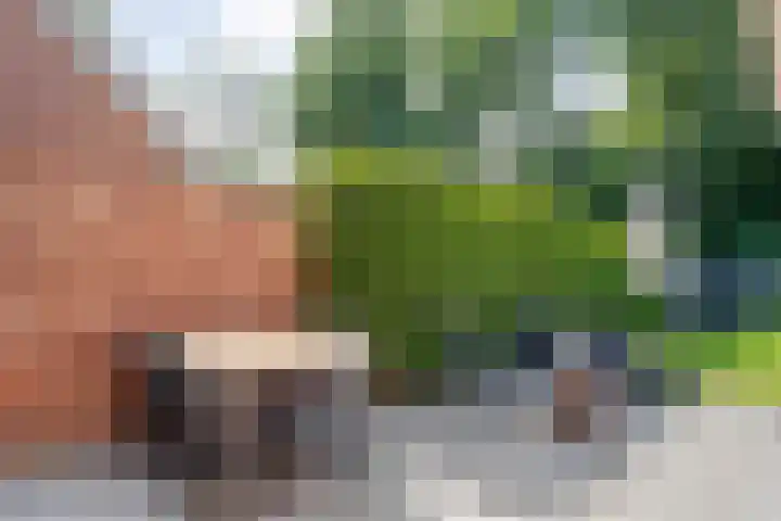 Meerkoetlaan 13 Ruinerwold thumbnail 37
