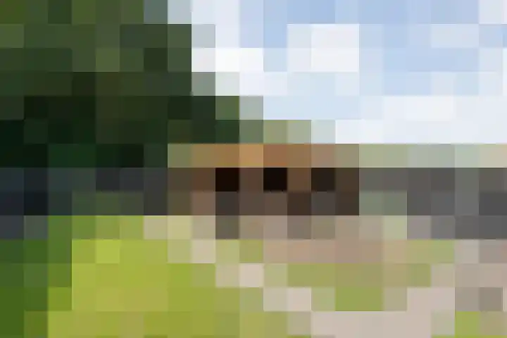 Meerkoetlaan 13 Ruinerwold thumbnail 39