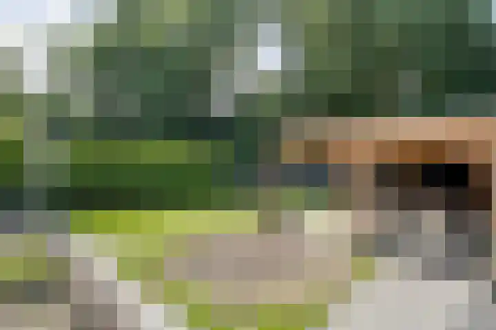 Meerkoetlaan 13 Ruinerwold thumbnail 40