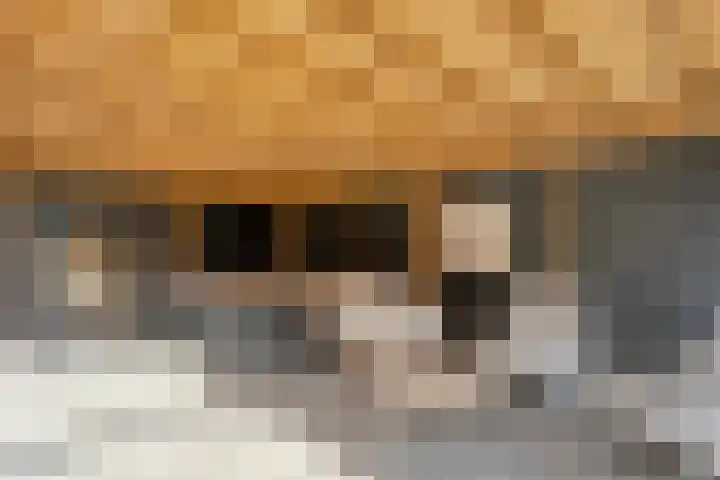 Meerkoetlaan 13 Ruinerwold thumbnail 41