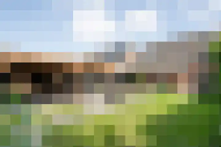 Meerkoetlaan 13 Ruinerwold thumbnail 43