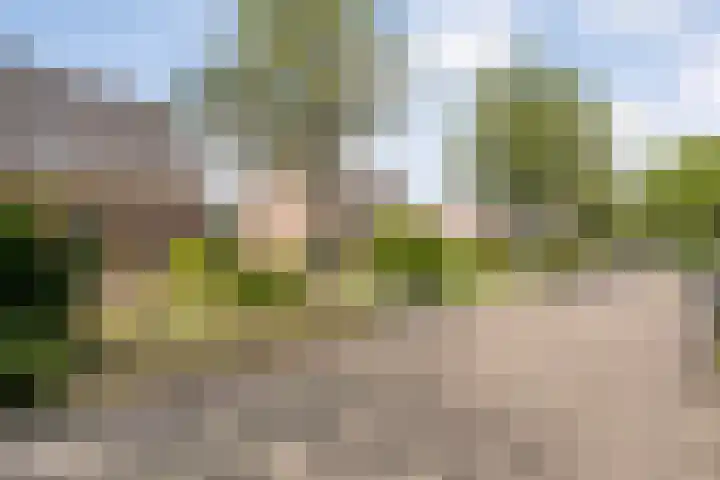 Meerkoetlaan 13 Ruinerwold thumbnail 45