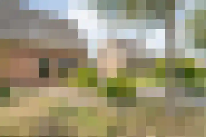 Meerkoetlaan 13 Ruinerwold thumbnail 46