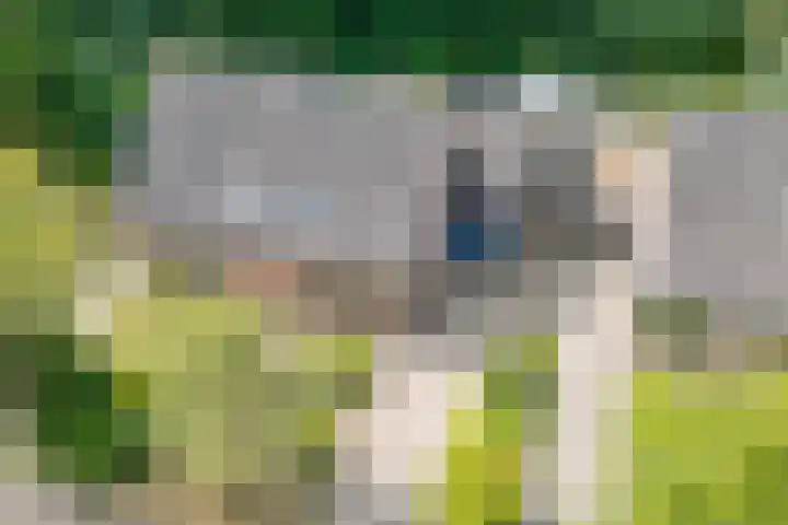 Meerkoetlaan 13 Ruinerwold thumbnail 49