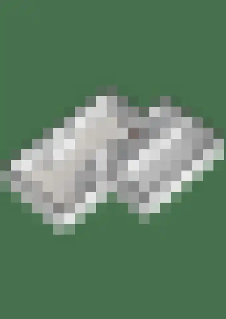 Meerkoetlaan 13 Ruinerwold thumbnail 56