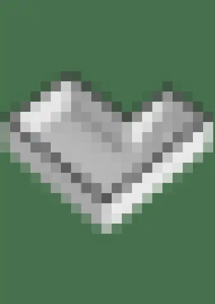 Meerkoetlaan 13 Ruinerwold thumbnail 59