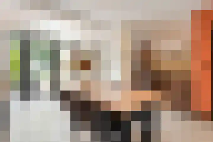 Meerkoetlaan 13 Ruinerwold thumbnail 8