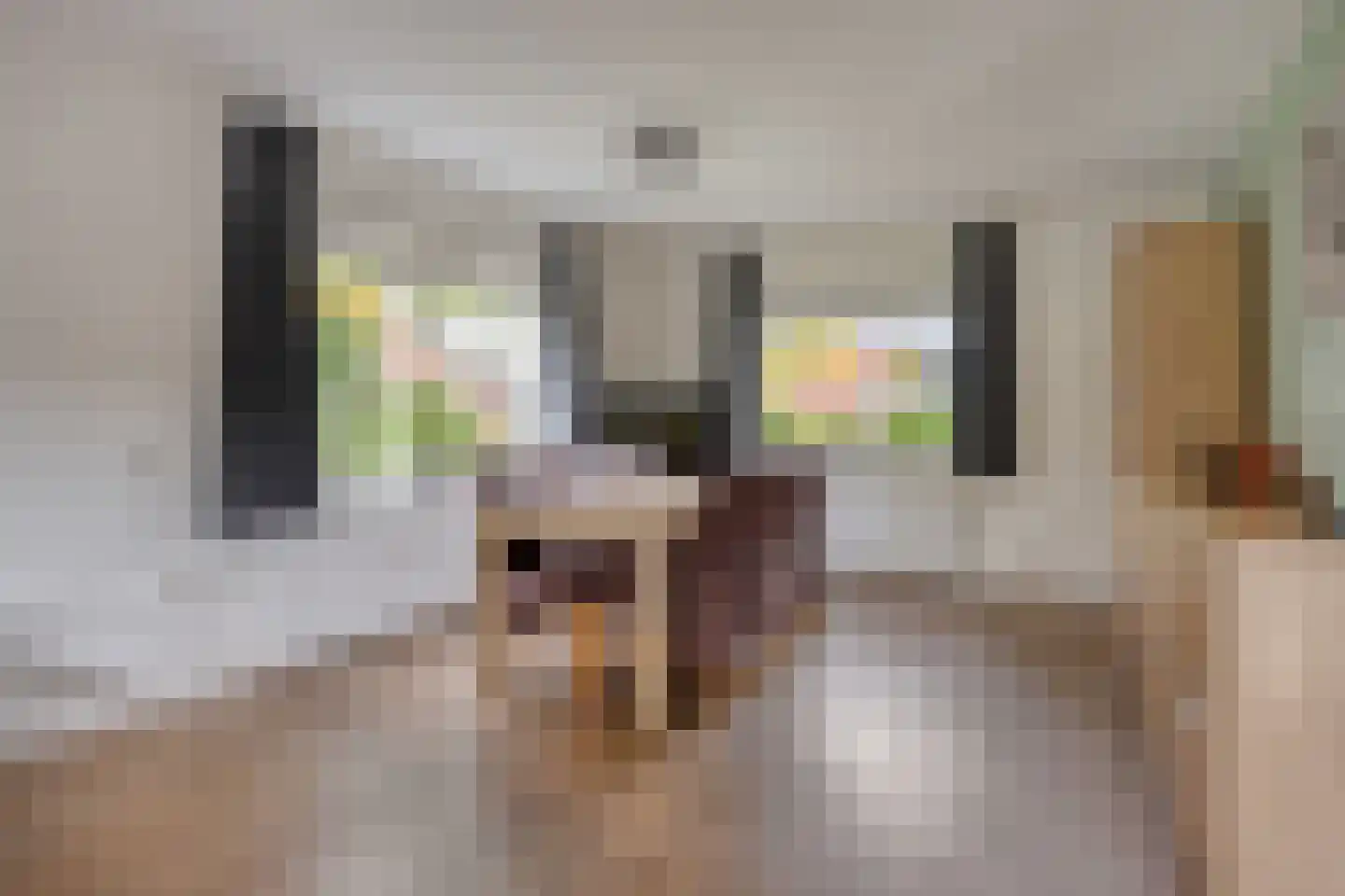 Meerkoetlaan 20 Hoogeveen thumbnail 10