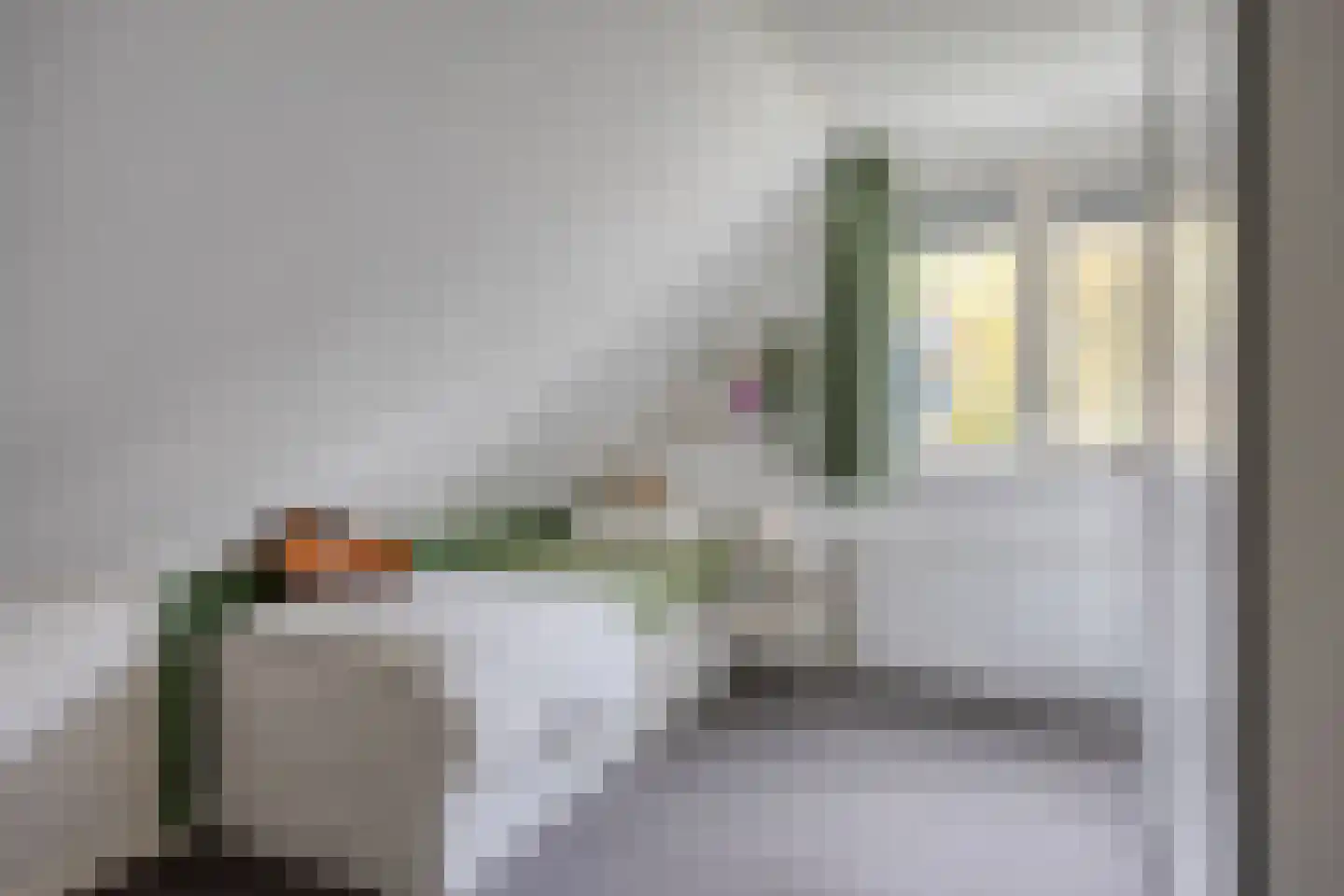 Meerkoetlaan 20 Hoogeveen thumbnail 19