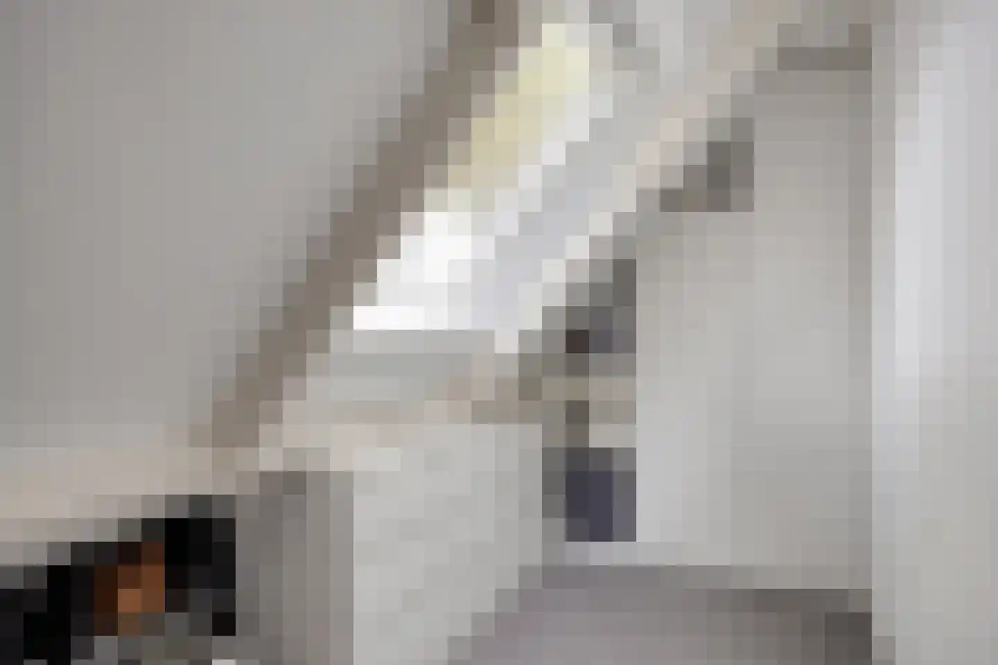 Meerkoetlaan 20 Hoogeveen thumbnail 21