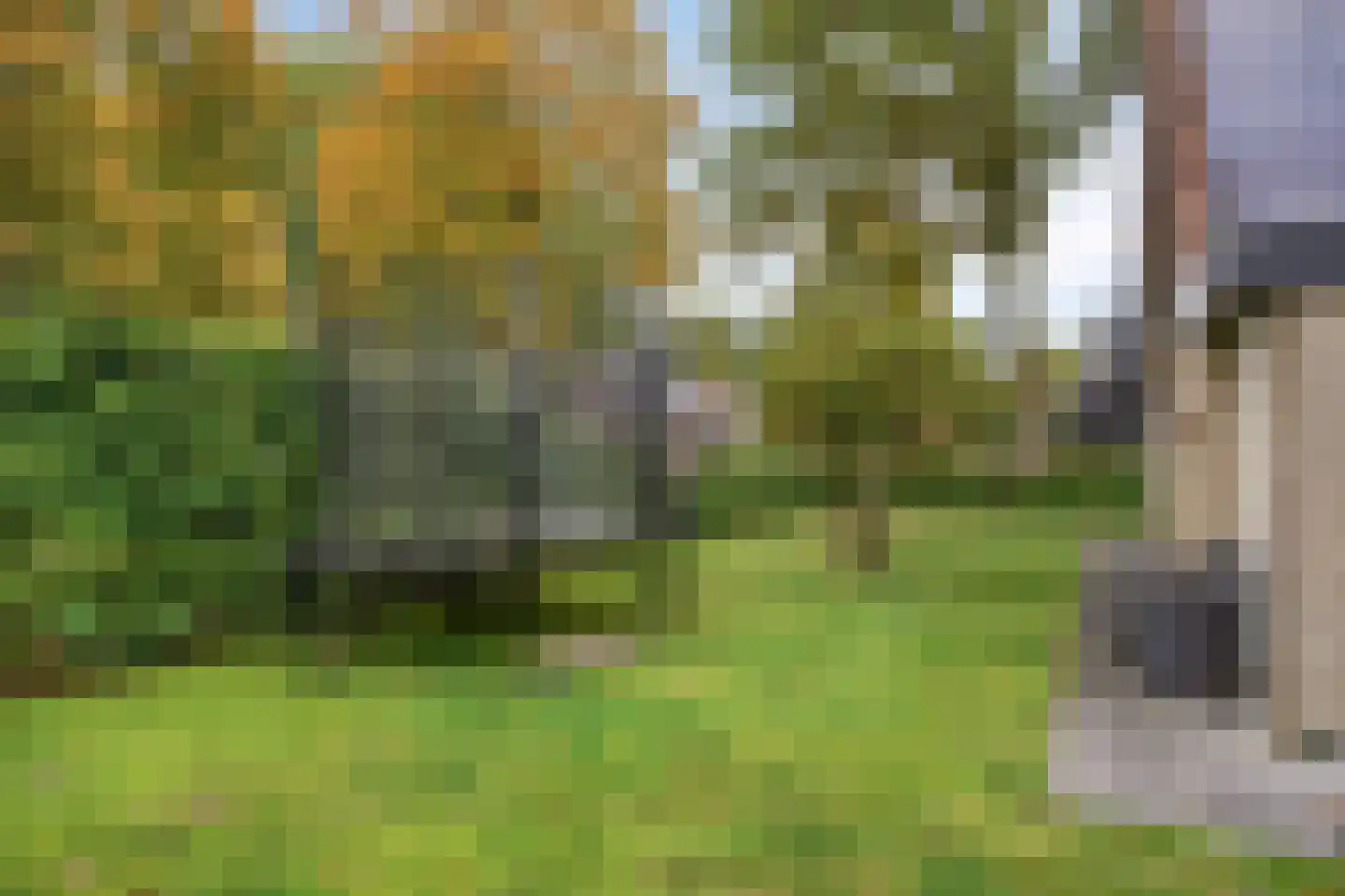 Meerkoetlaan 20 Hoogeveen thumbnail 28