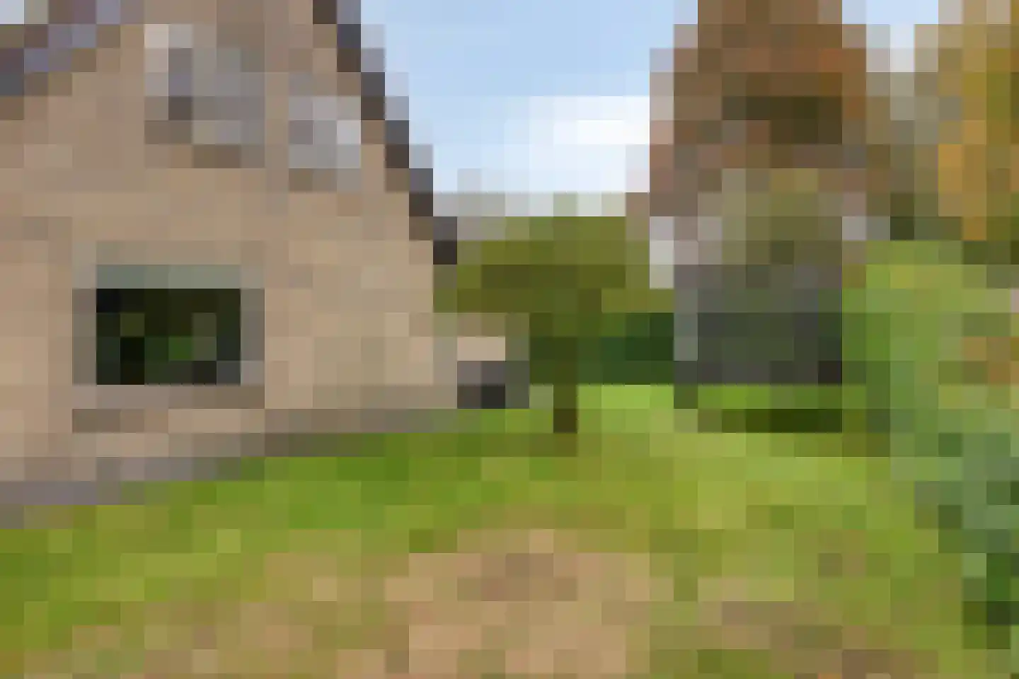 Meerkoetlaan 20 Hoogeveen thumbnail 29