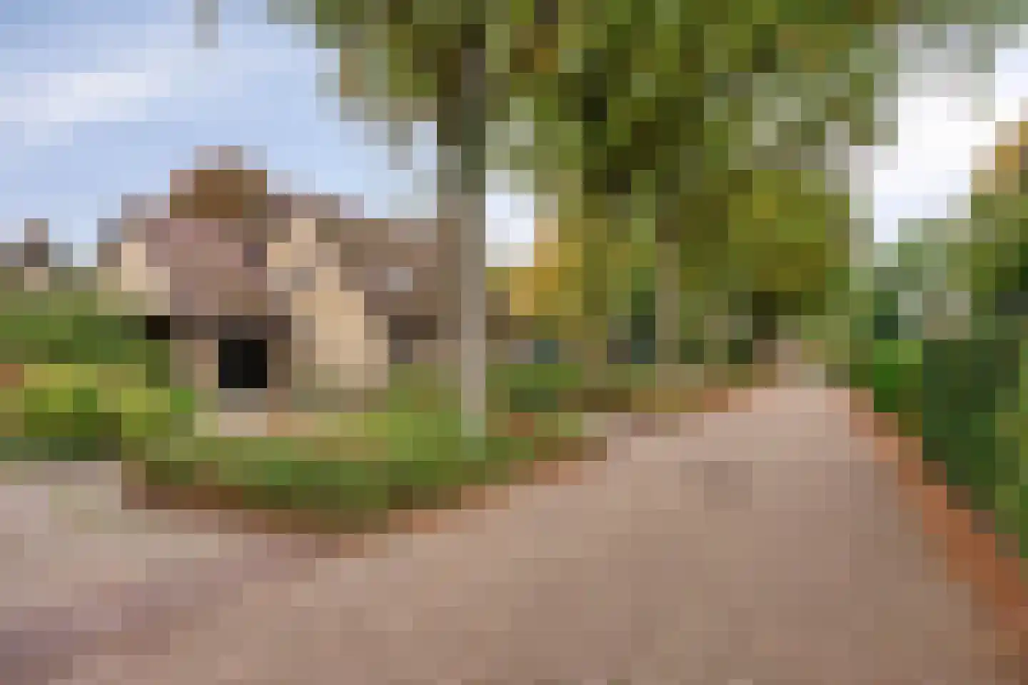 Meerkoetlaan 20 Hoogeveen thumbnail 31