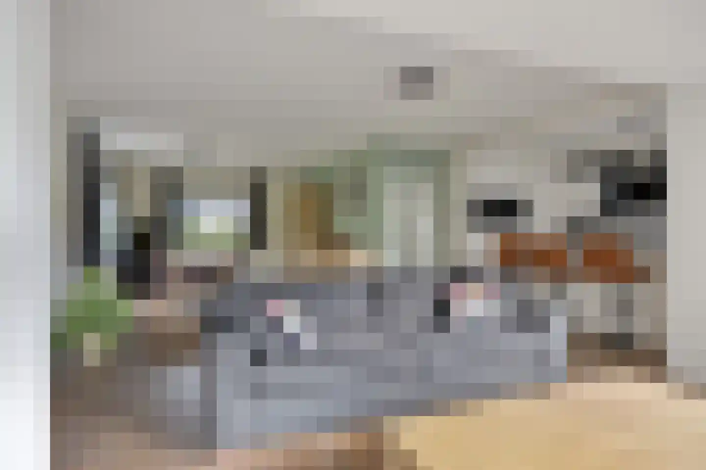 Meerkoetlaan 20 Hoogeveen thumbnail 7
