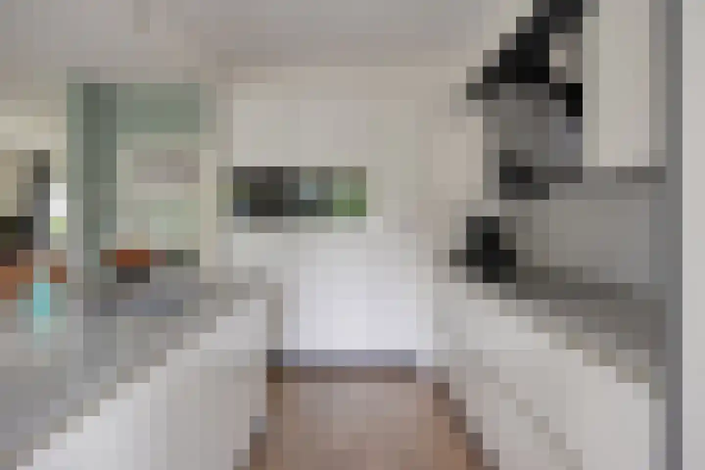 Meerkoetlaan 20 Hoogeveen thumbnail 9