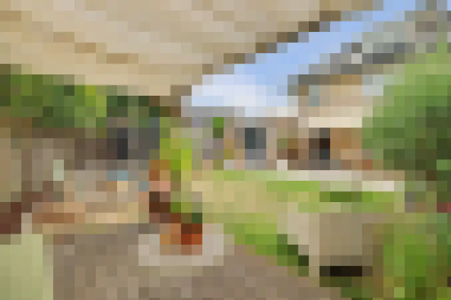 Meerkoetlaan 20 Sint-Maartensdijk thumbnail 39