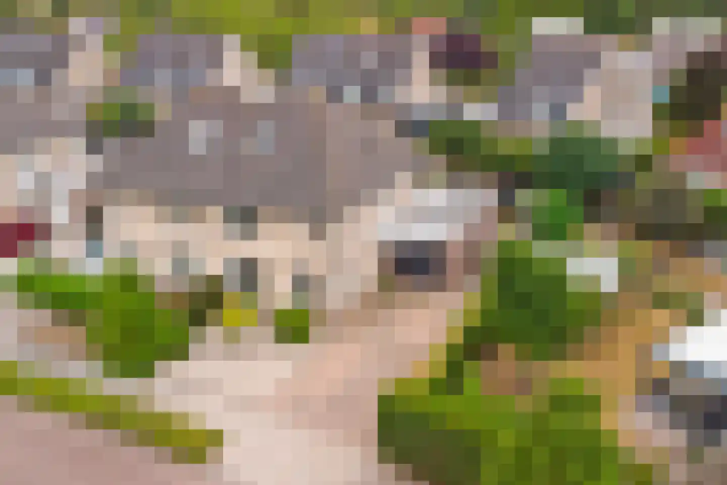 Meerkoetlaan 20 Sint-Maartensdijk thumbnail 52