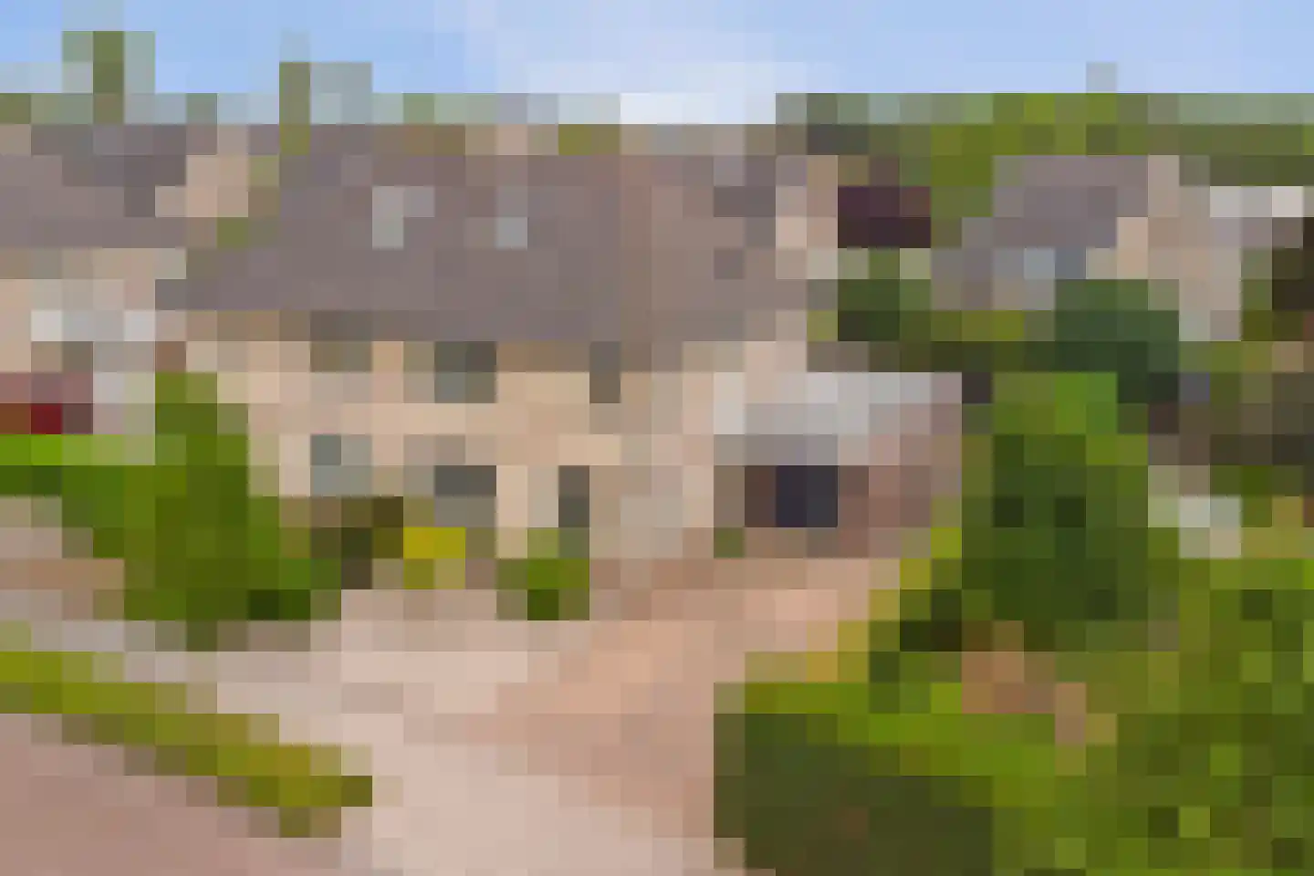 Meerkoetlaan 20 Sint-Maartensdijk thumbnail 53