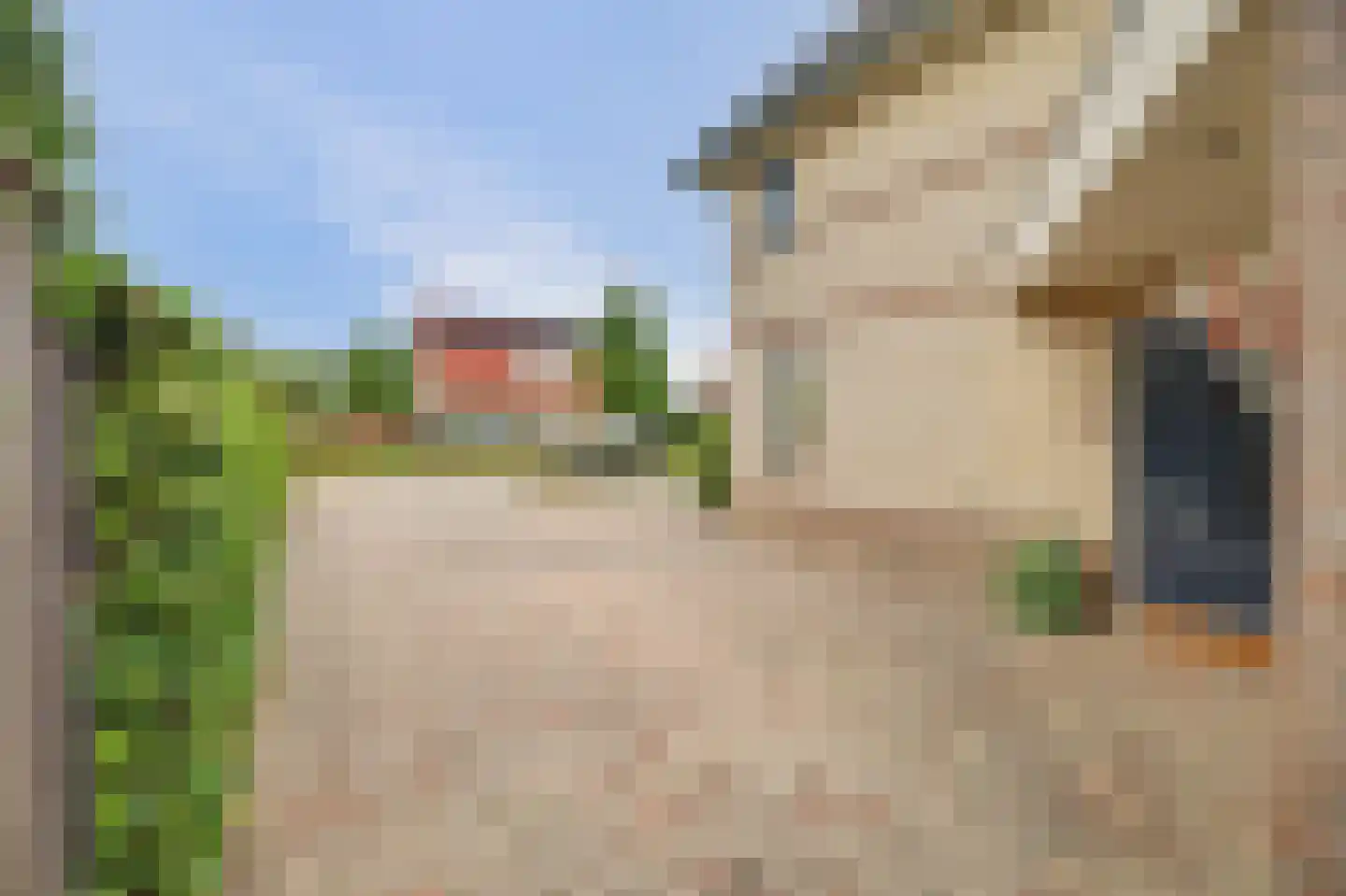 Meerkoetlaan 20 Sint-Maartensdijk thumbnail 7
