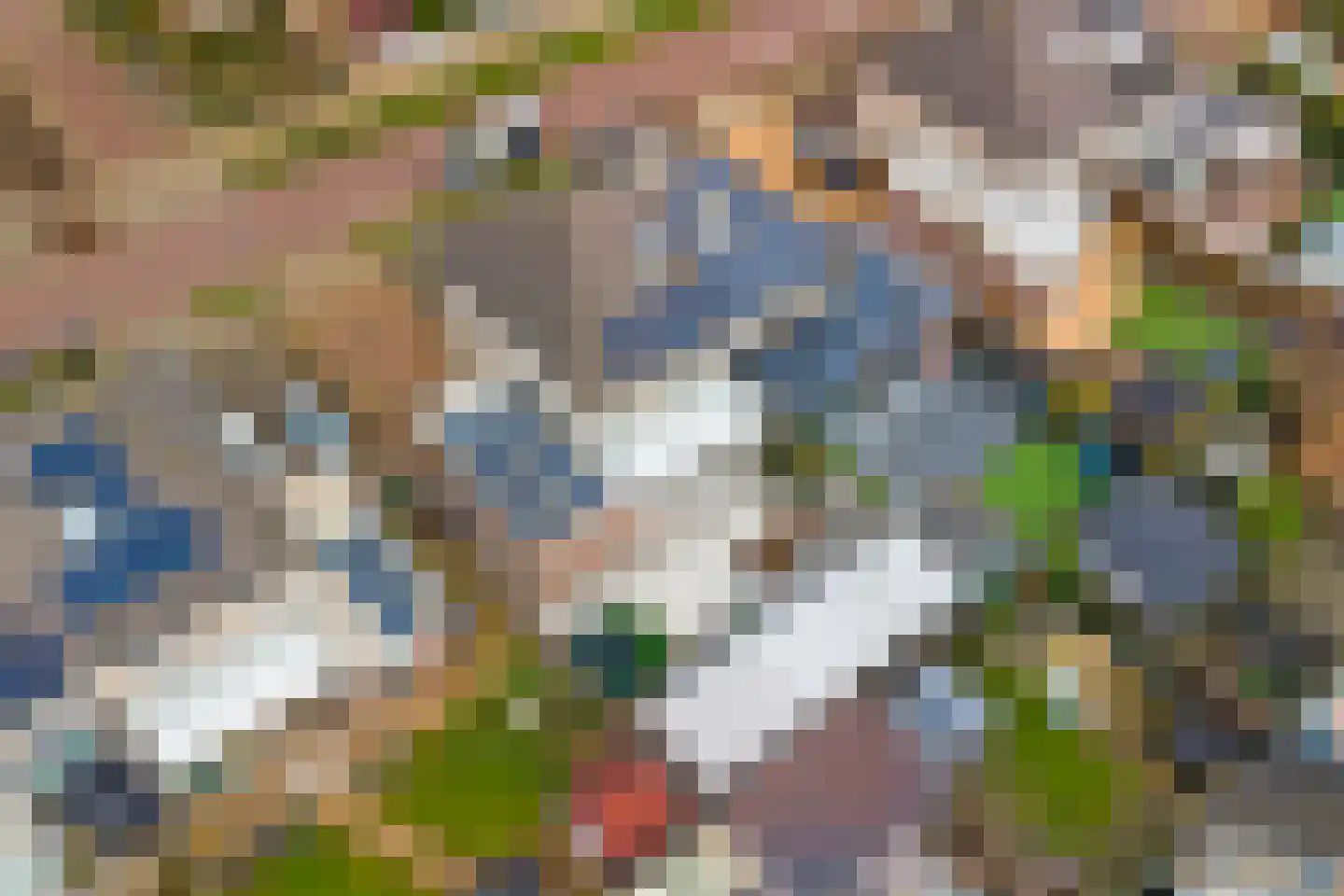 Meerkoetlaan 28 Sint-Maartensdijk thumbnail 67