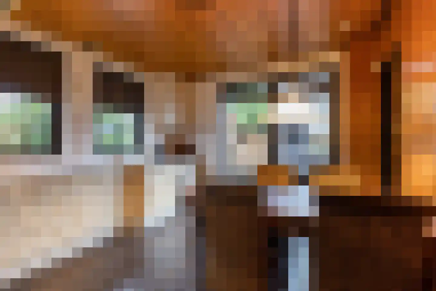 Meerkoetlaan 46 Hoogeveen thumbnail 13