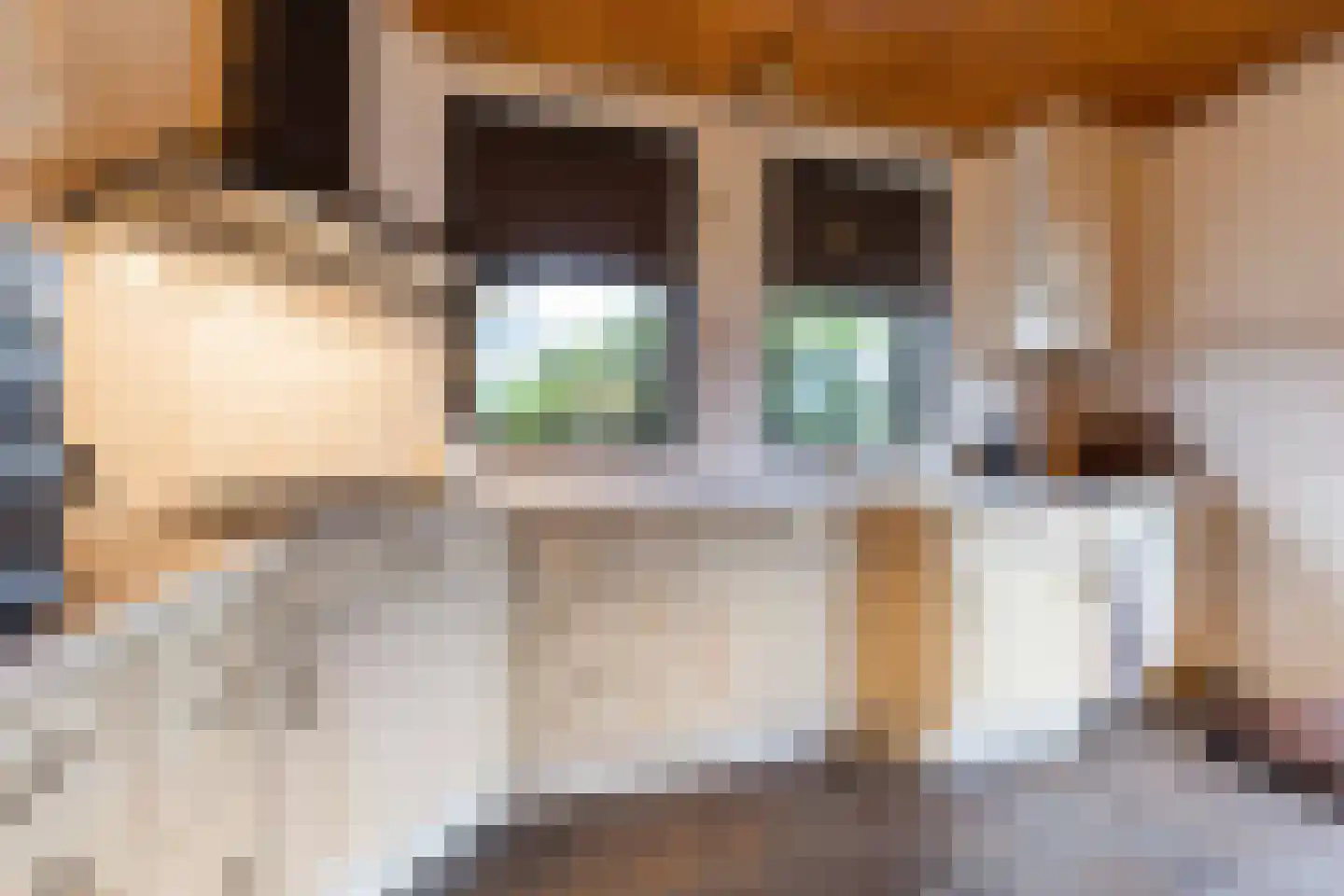 Meerkoetlaan 46 Hoogeveen thumbnail 14