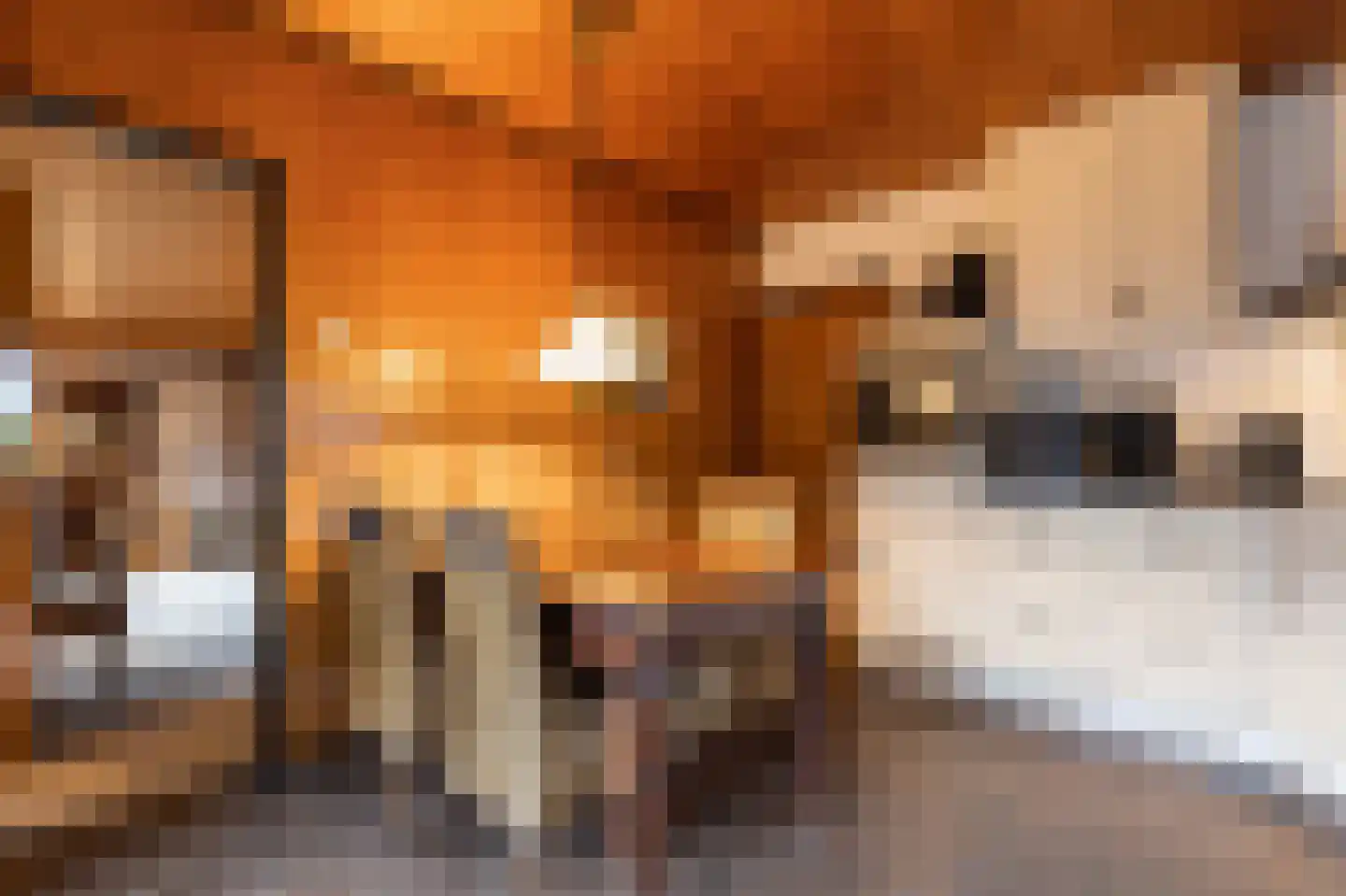 Meerkoetlaan 46 Hoogeveen thumbnail 17