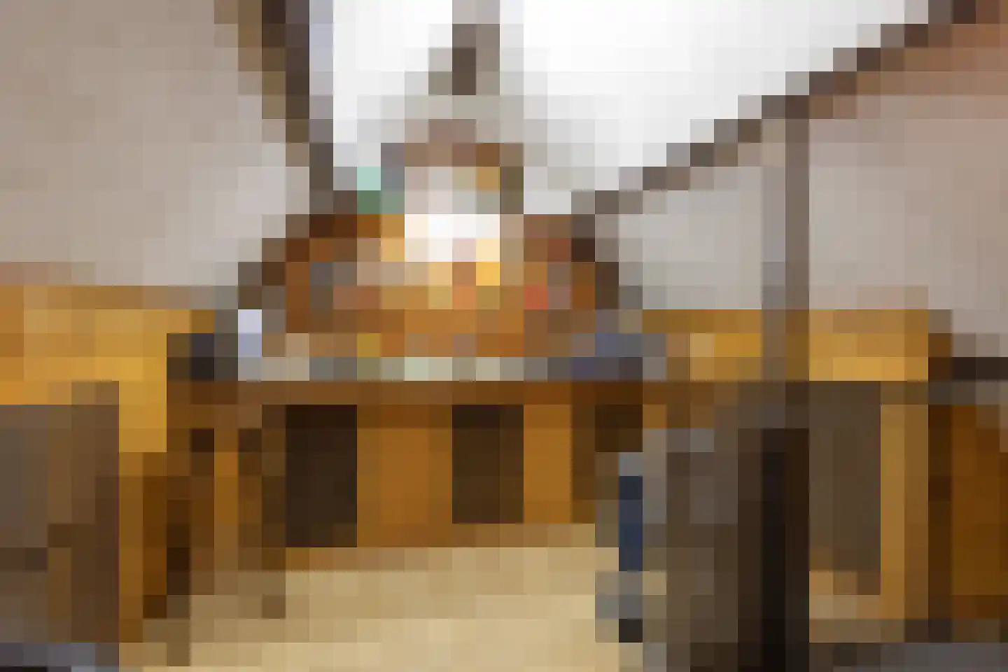 Meerkoetlaan 46 Hoogeveen thumbnail 29