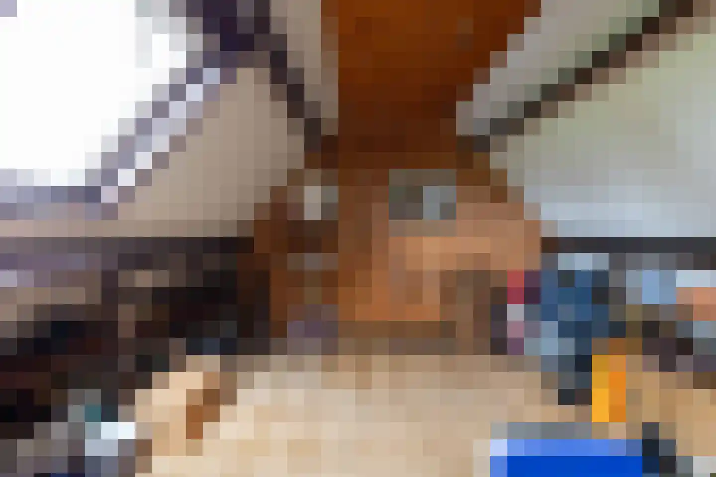 Meerkoetlaan 46 Hoogeveen thumbnail 30