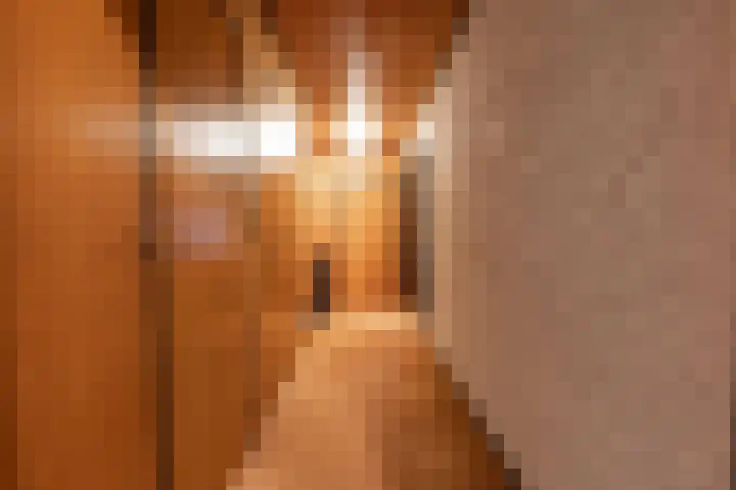 Meerkoetlaan 46 Hoogeveen thumbnail 34