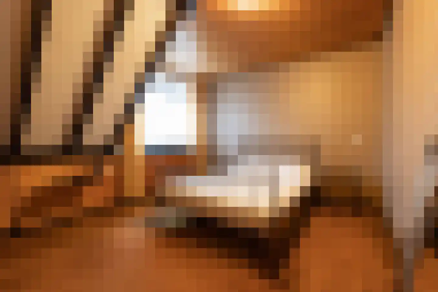 Meerkoetlaan 46 Hoogeveen thumbnail 35