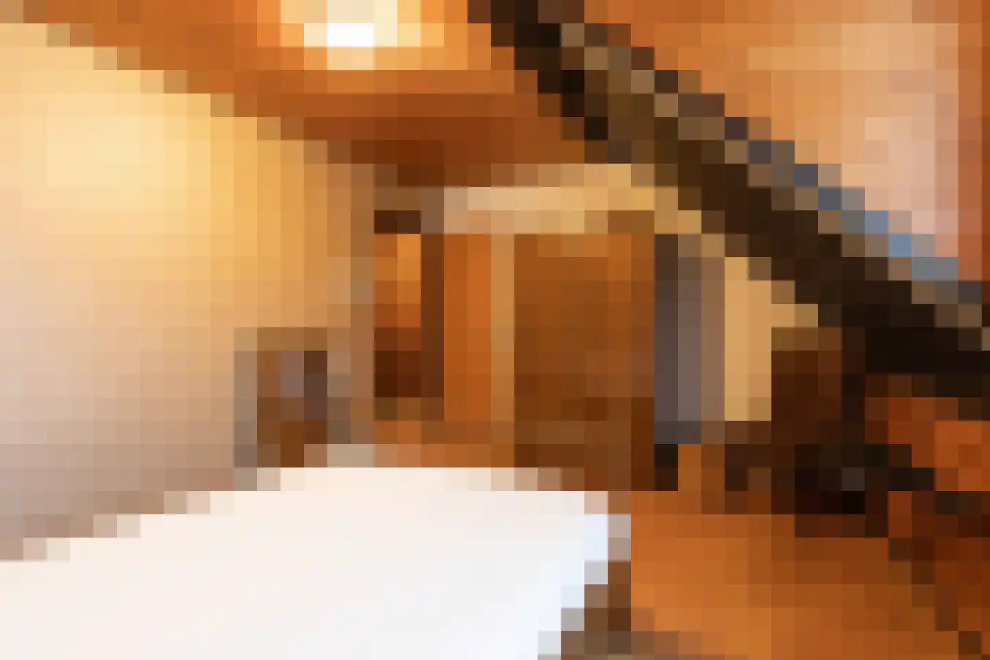 Meerkoetlaan 46 Hoogeveen thumbnail 36