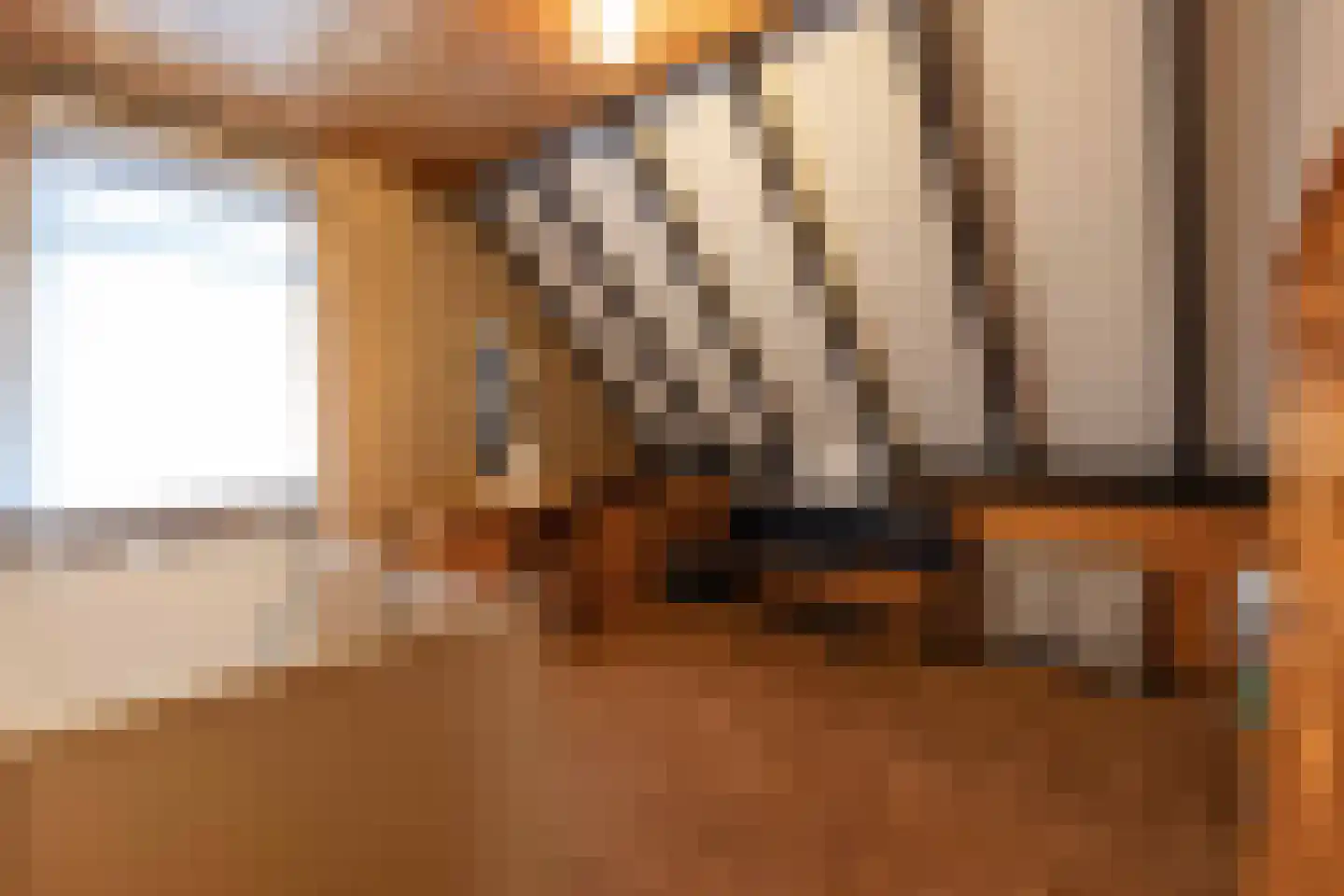Meerkoetlaan 46 Hoogeveen thumbnail 37