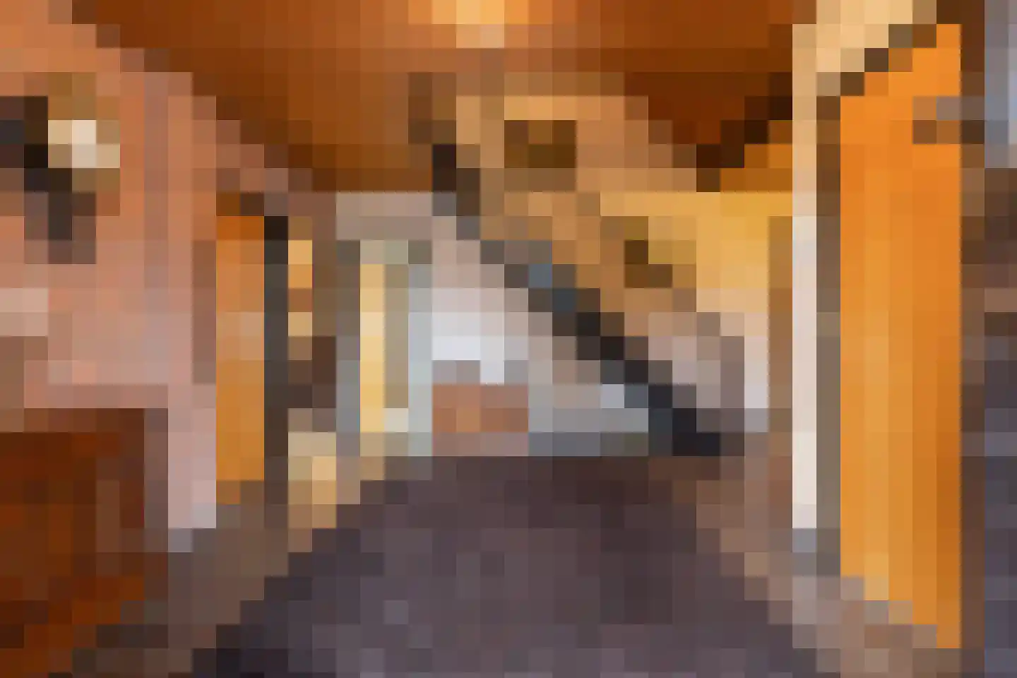 Meerkoetlaan 46 Hoogeveen thumbnail 4