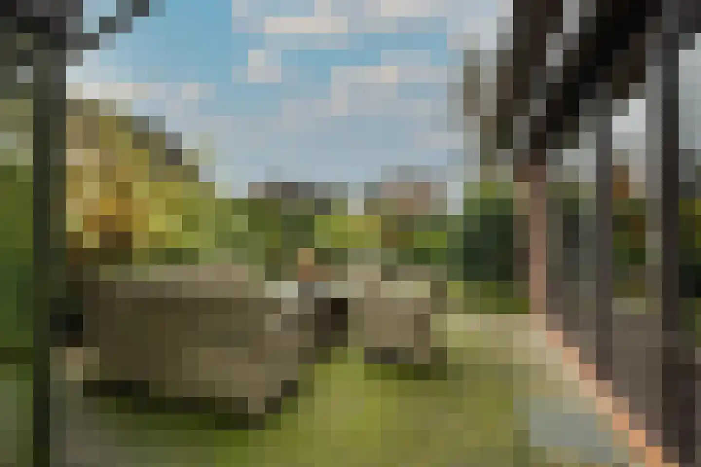 Meerkoetlaan 46 Hoogeveen thumbnail 42