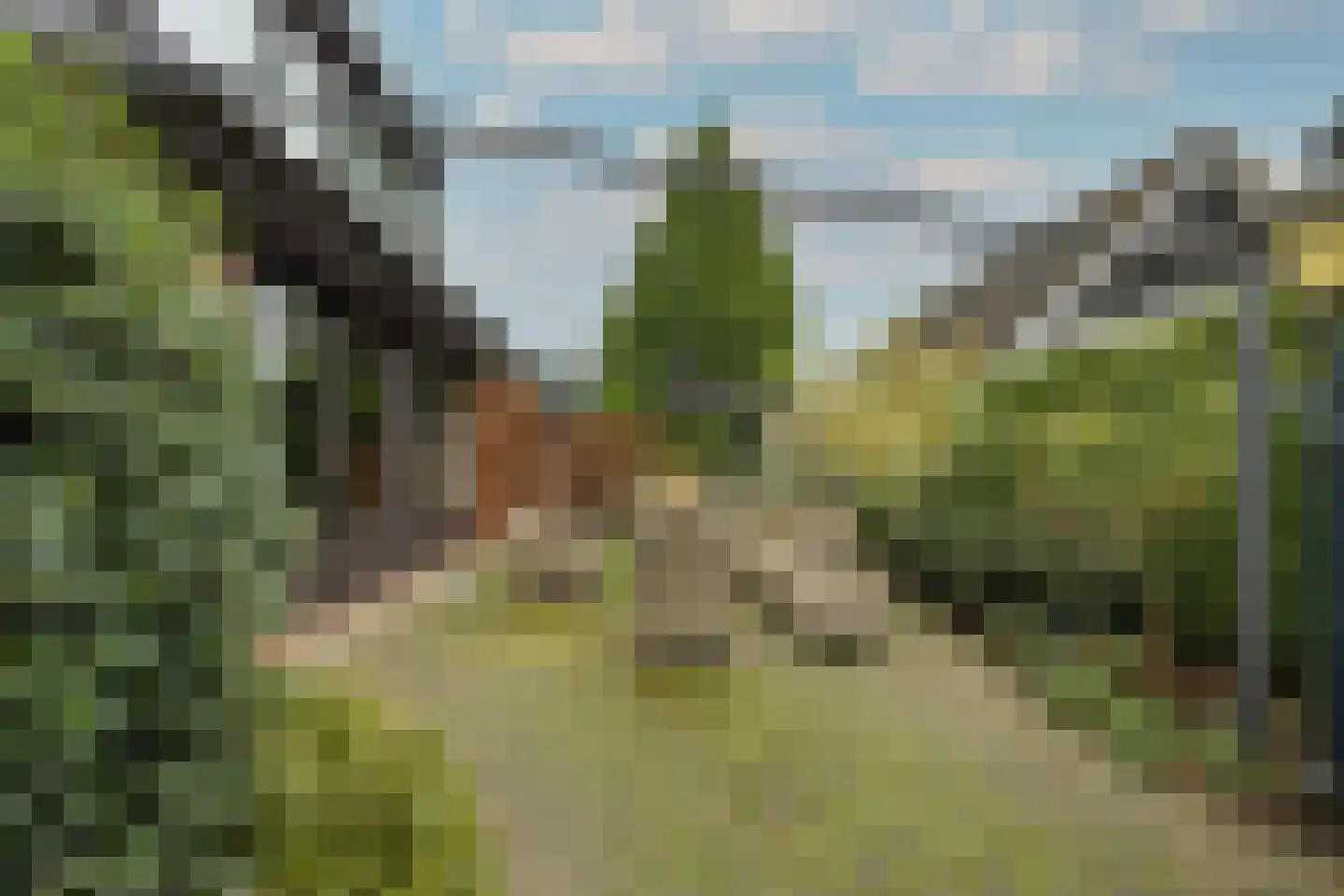Meerkoetlaan 46 Hoogeveen thumbnail 43