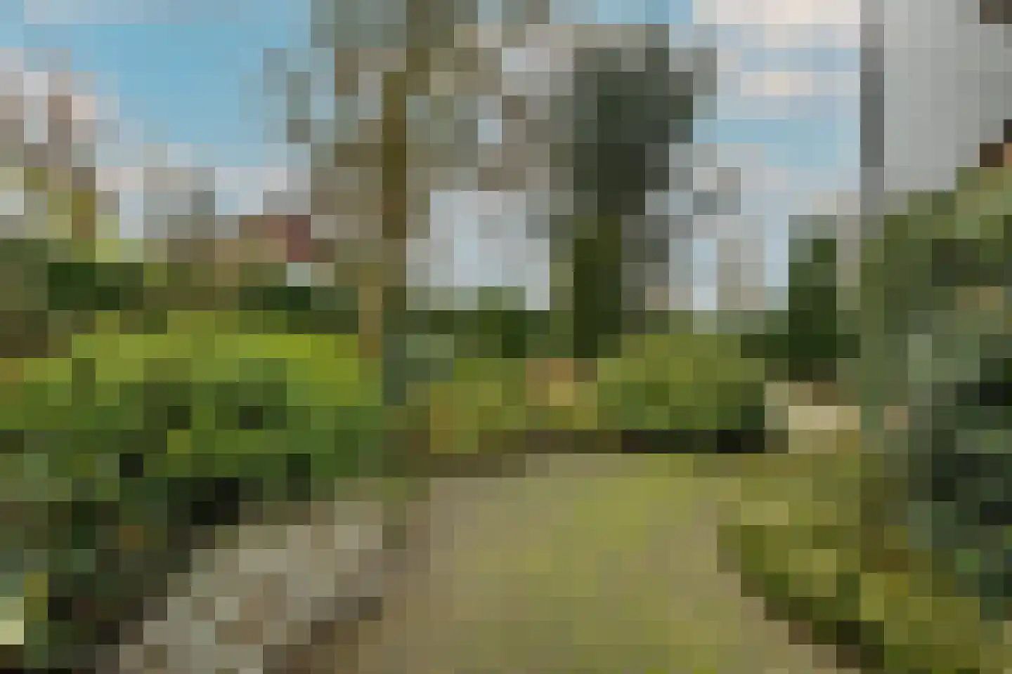 Meerkoetlaan 46 Hoogeveen thumbnail 44