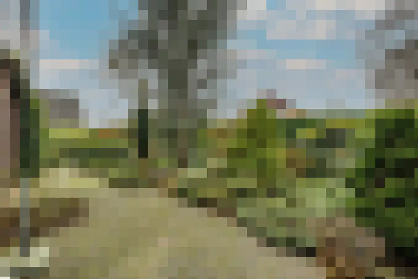 Meerkoetlaan 46 Hoogeveen thumbnail 46