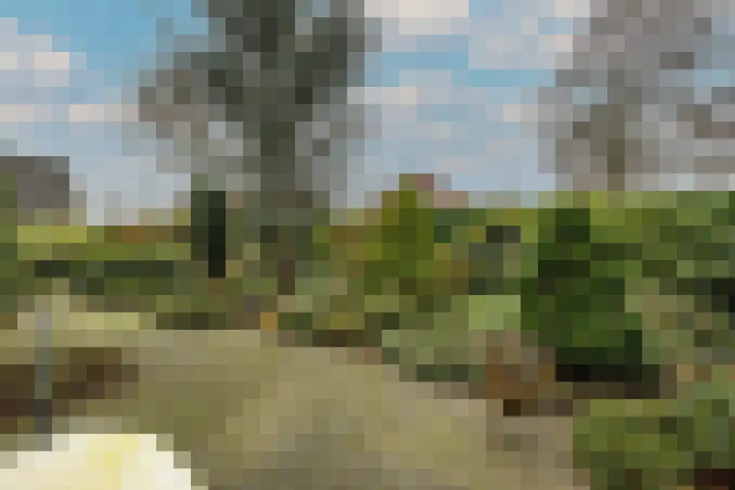 Meerkoetlaan 46 Hoogeveen thumbnail 47