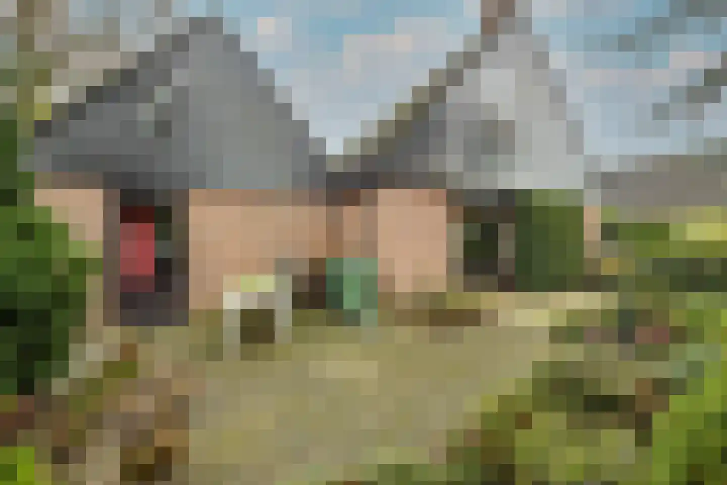 Meerkoetlaan 46 Hoogeveen thumbnail 48