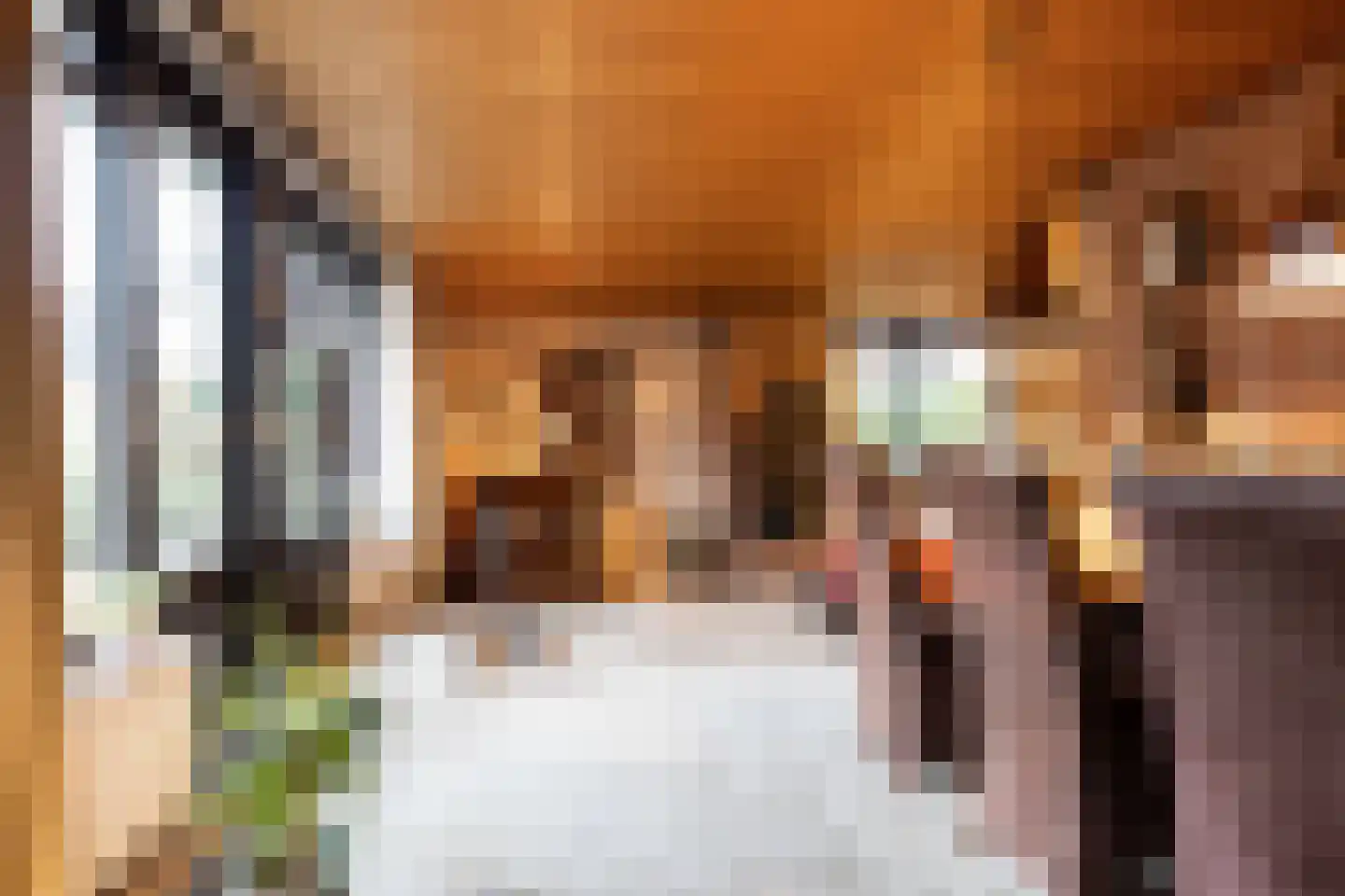 Meerkoetlaan 46 Hoogeveen thumbnail 5