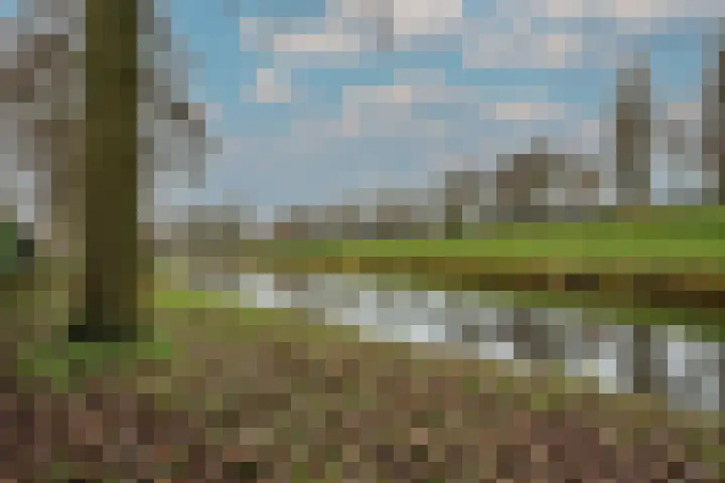 Meerkoetlaan 46 Hoogeveen thumbnail 54