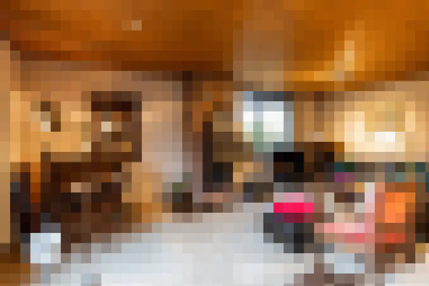 Meerkoetlaan 46 Hoogeveen thumbnail 6