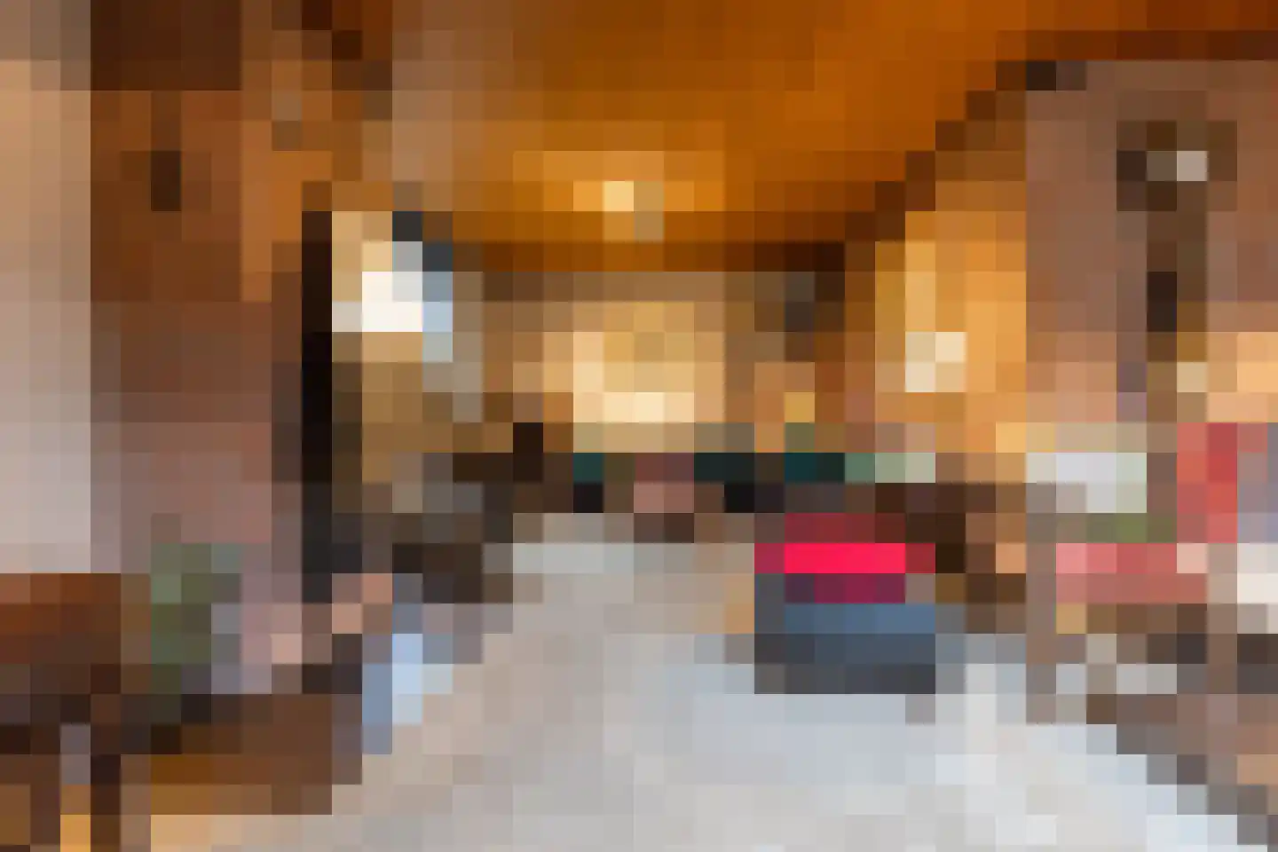 Meerkoetlaan 46 Hoogeveen thumbnail 7