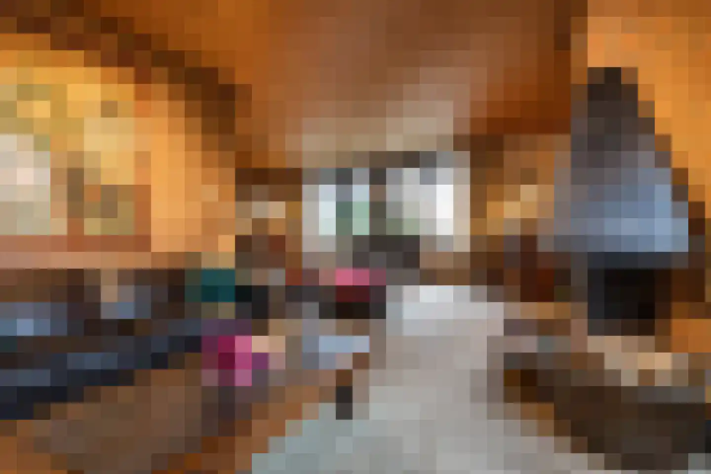 Meerkoetlaan 46 Hoogeveen thumbnail 8