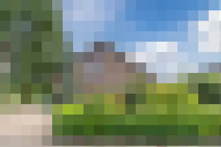 Meerkoetlaan 52 in Hoogeveen